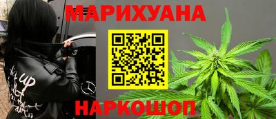 прущие крисы Моздок